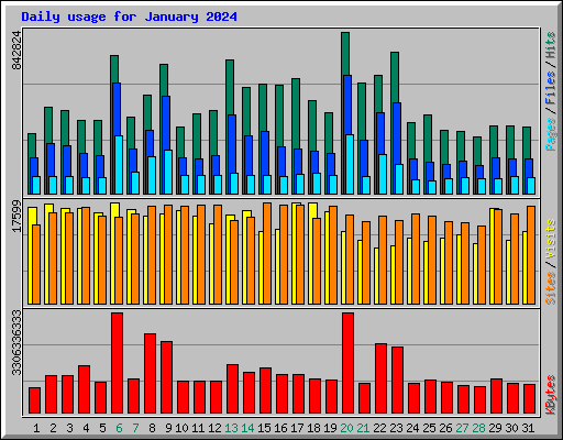 Daily usage for January 2024