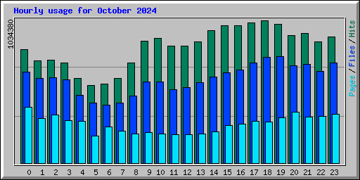 Hourly usage for October 2024